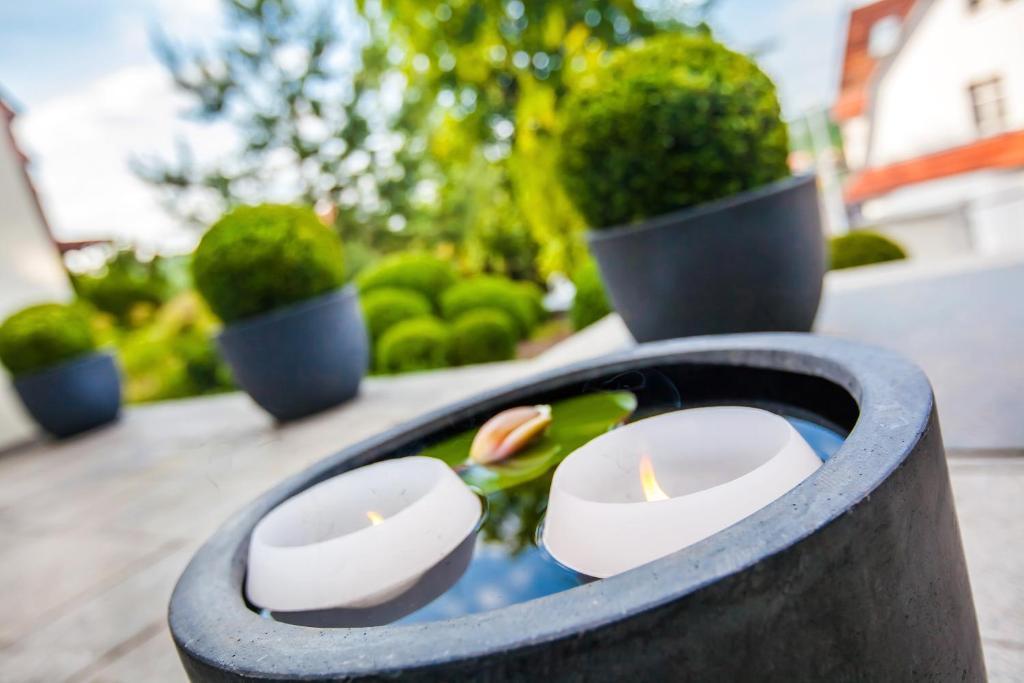 Boutique-Hotel Villa Anna Eisenach Luaran gambar