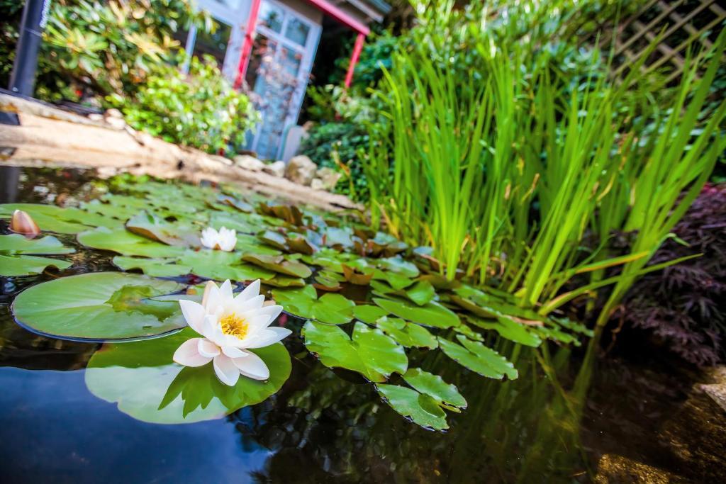 Boutique-Hotel Villa Anna Eisenach Luaran gambar