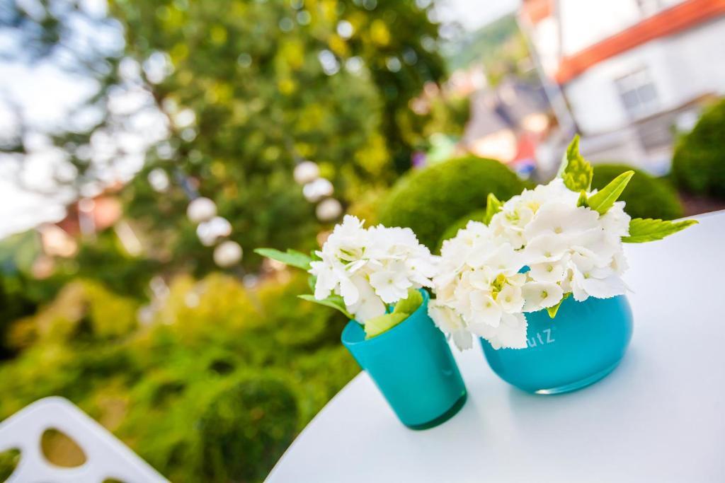 Boutique-Hotel Villa Anna Eisenach Luaran gambar